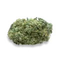 thumb of Lambs Bread Bud