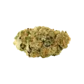 thumb of Lemon Auto Bud