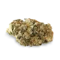 thumb of Lemon bud