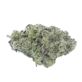 thumb of Lemon Cherry Gelato Bud