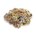 thumb of Love Potion bud