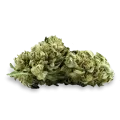 thumb of MAC 1 bud