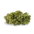 thumb of Magnum bud