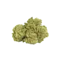 thumb of Maui Waui Auto Bud