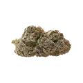 thumb of Mimosa Auto Bud