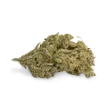 thumb of Northern Lights bud