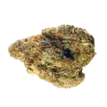 thumb of Nova OG Knospe