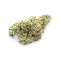 thumb of OG Kush CBD bud