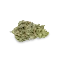 thumb of Original Glue bud