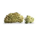 thumb of Pennywise bud