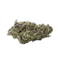 thumb of Pink Rozay Bud