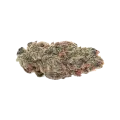 thumb of Pink Runtz Auto Bud