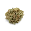 thumb of Power Plant Bud