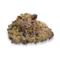 thumb of Purple Gelato Bud