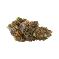 thumb of Purple Kush Auto Bud