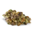 thumb of Purple Kush bud