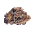thumb of Purple Lemonade bud