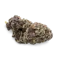 thumb of Purple Punch bud