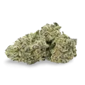 thumb of Purple Urkle bud
