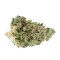 thumb of Rainbow Bud