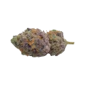 thumb of Red Devil Auto Bud