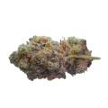thumb of Red Devil Bud