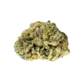 thumb of Romulan Bud
