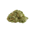 thumb of Bud de Runtz Auto