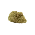 thumb of Santa Maria Auto Bud