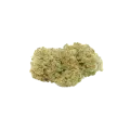 thumb of Bud de Sexxpot Auto
