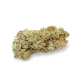 thumb of Sexxpot bud