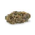 thumb of Sirius Black bud