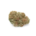 thumb of Snow White bud