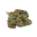 thumb of Sour Diesel bud