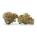 thumb of Sour Tsunami CBD bud
