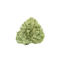thumb of Stardawg Auto Bud