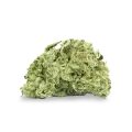 thumb of Stardawg bud