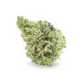 thumb of Sunset Sherbet bud