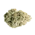 thumb of Super Boof Bud