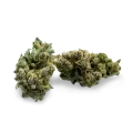 thumb of Super Glue bud