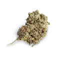 thumb of Swiss Cheese bud