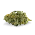 thumb of Tangie bud