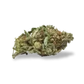 thumb of Trainwreck bud