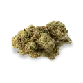 thumb of triangle kush bud