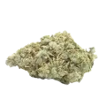 thumb of Tropicana Cookies Bud