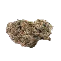thumb of Watermelon Gelato Bud