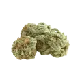 thumb of White Rhino Auto Bud