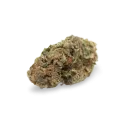 thumb of White Widow bud