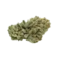 thumb of White Widow x Northern Lights Auto Bud
