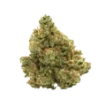 thumb of XJ-13 Bud